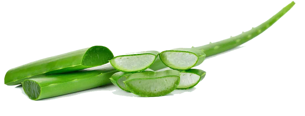 Aloe vera gel