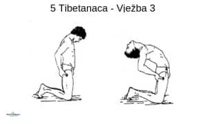 vježbe tibetanaca za kralježnicu