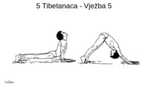 5 tibetanaca