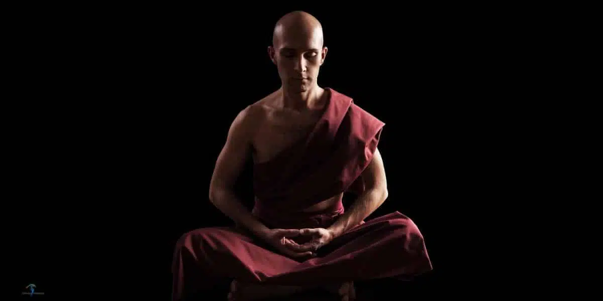 5 tibetanaca - pet tibetanaca