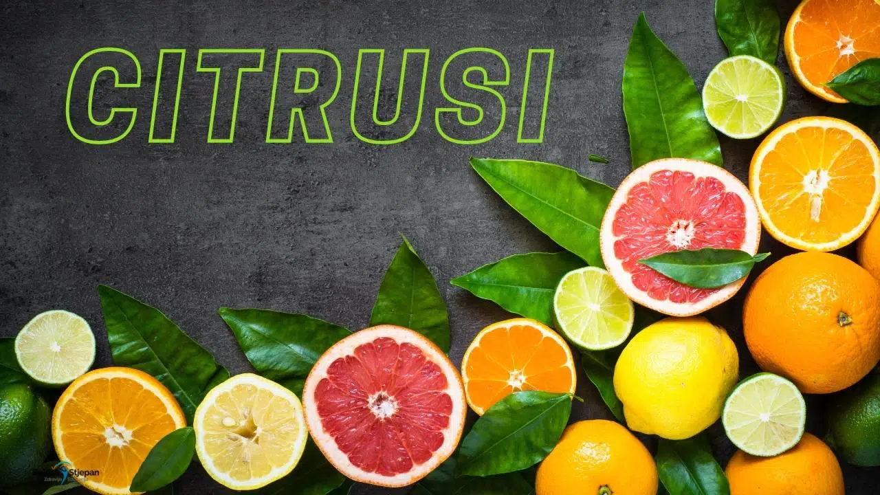 citrusi slike