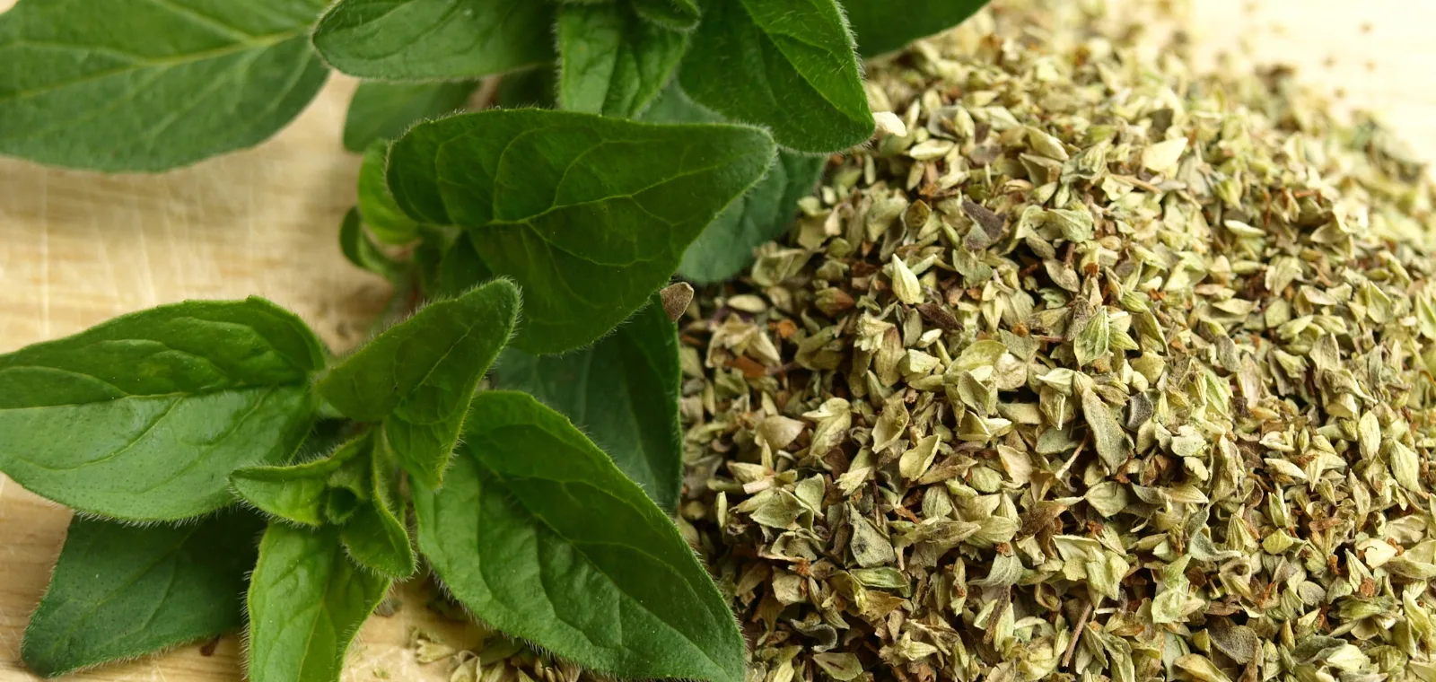 Origano - Kako ovaj začin jača imunitet i ublažava upale?