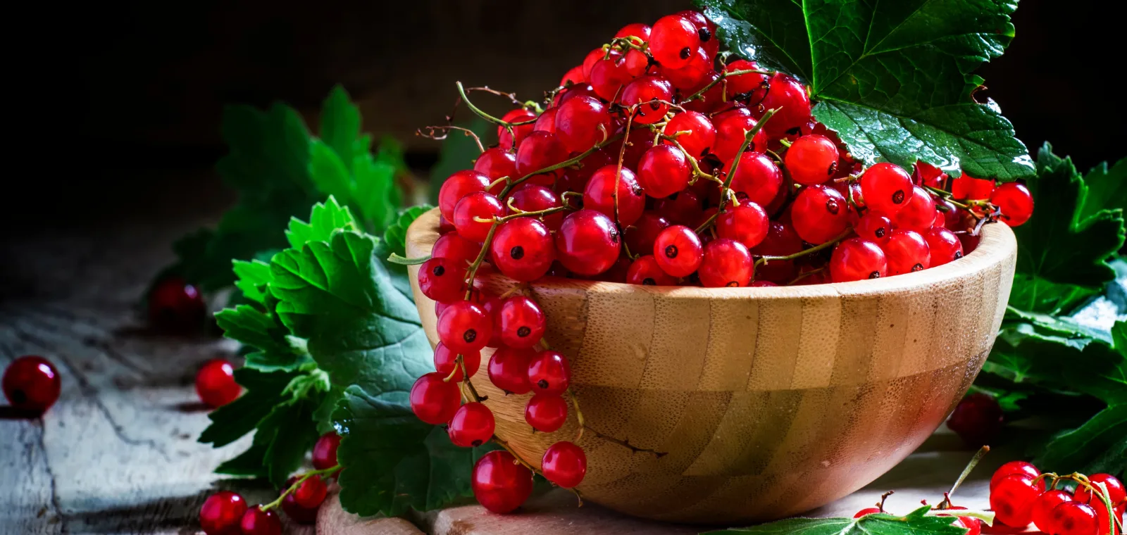 Ribiz - Superhrana bogata antioksidansima za zdravlje