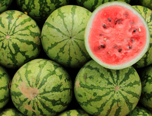 Lubenica i zdravlje – Otkrijte snagu prirodne hidratacije