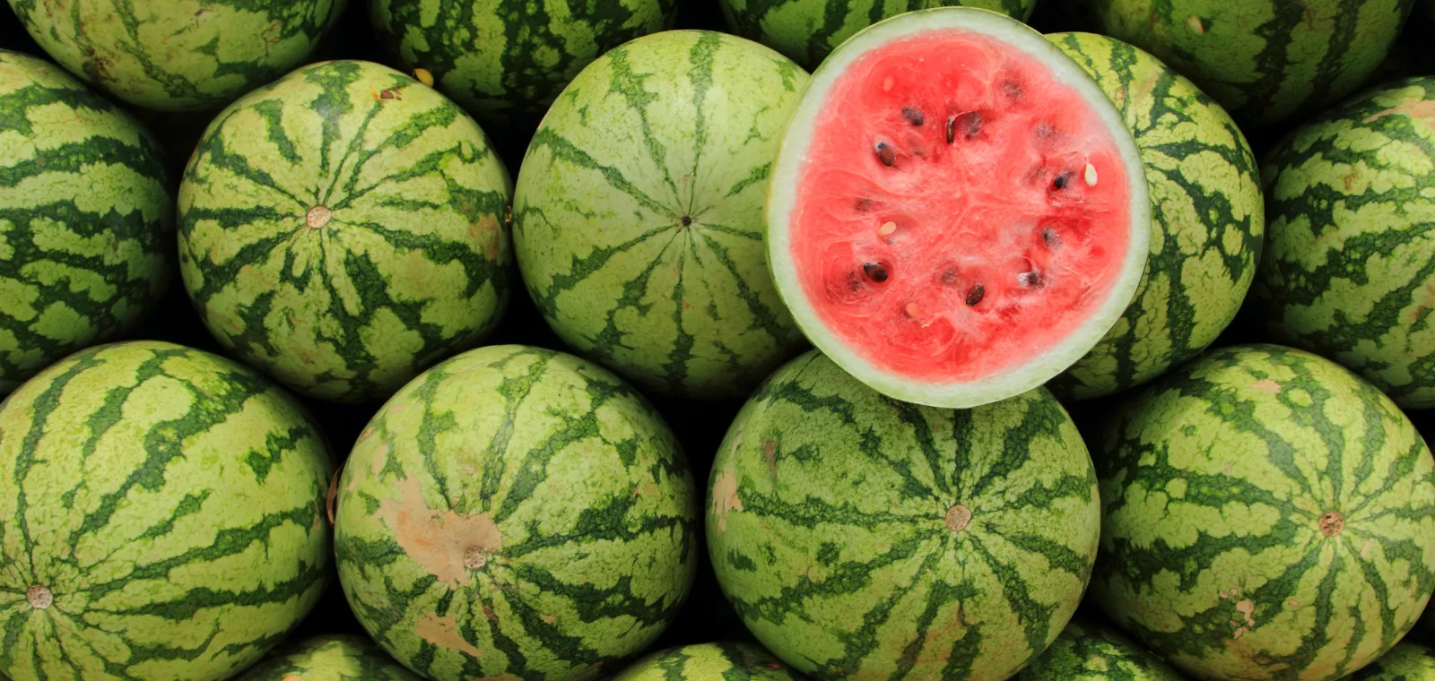 Lubenica i zdravlje - Otkrijte snagu prirodne hidratacije