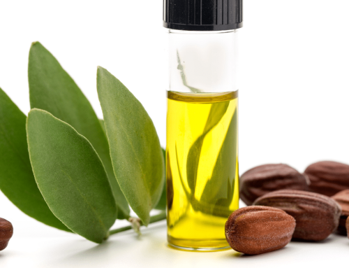 Jojoba – Prirodni izvor zdravlja i ljepote