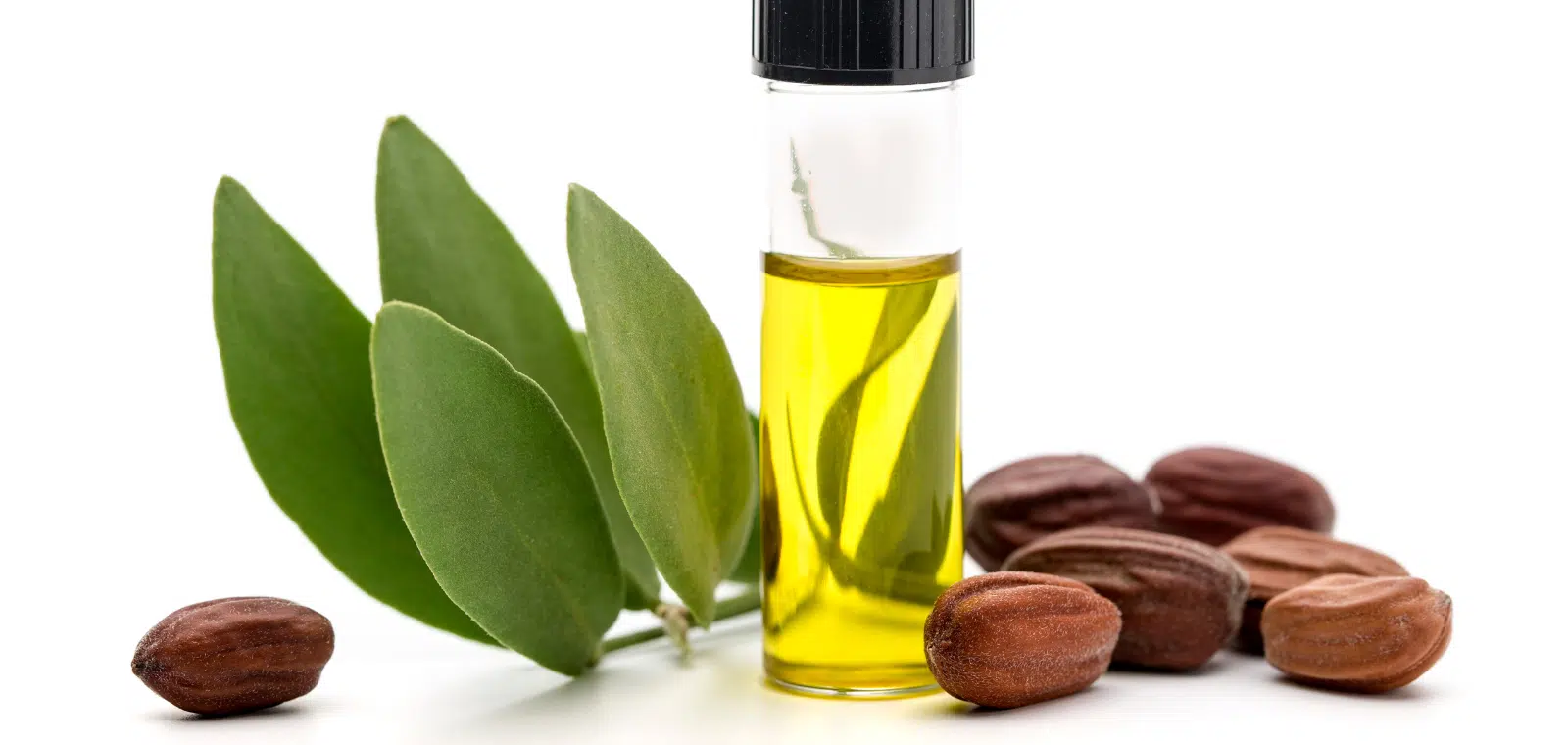 Jojoba - Prirodni izvor zdravlja i ljepote