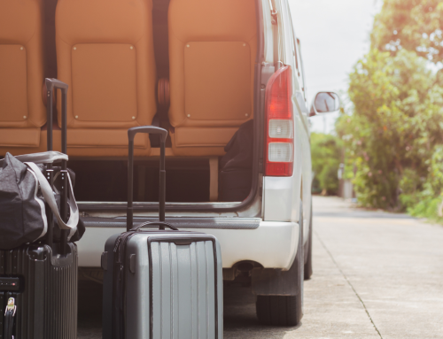 Sanjarica putovanja – Otkrivanje Skrivenih Značenja Snova